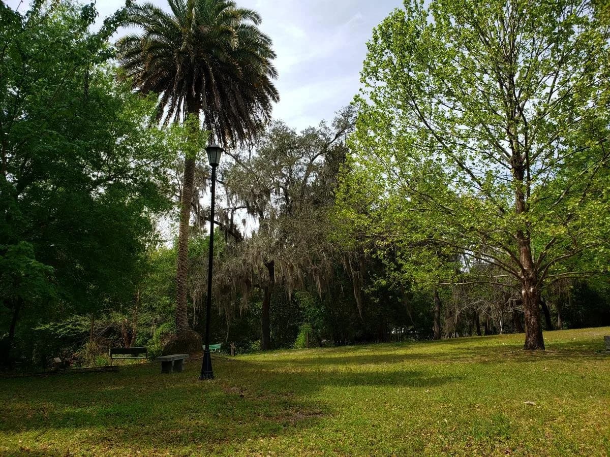 Apply to Committee Shaping Future Conservation of Lands