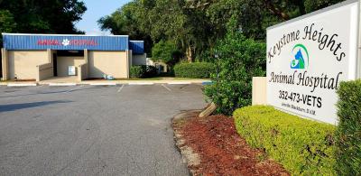 Veterinarian - Keystone Heights Animal Hospital serving Keystone Heights, Melrose, Starke Florida 
